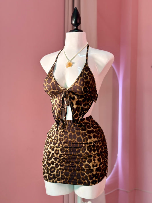 Set Leopardo 🐆